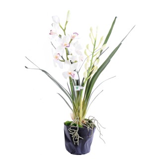 Künstliche Cymbidium Orchidee 80cm Weiss