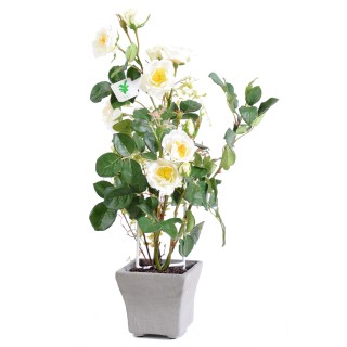 Kunst-Rosenbusch Weiss, ca. 50cm