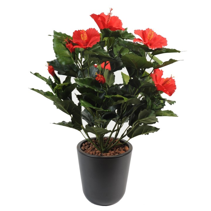 Exklusiver Hibiskus Steckzweig - Rot - 45cm
