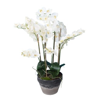Elegante Künstliche Phalaenopsis Orchidee - 105cm Weiss