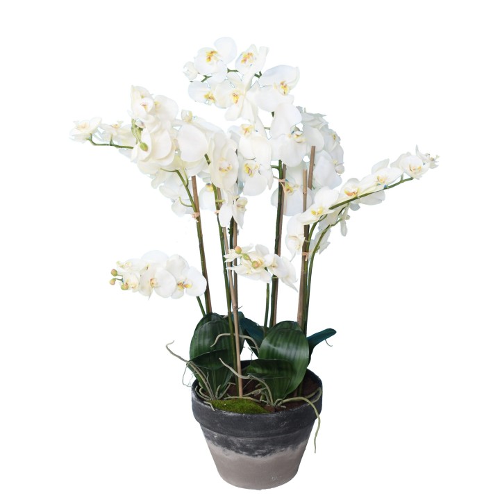 Elegante Künstliche Phalaenopsis Orchidee - 105cm Weiss