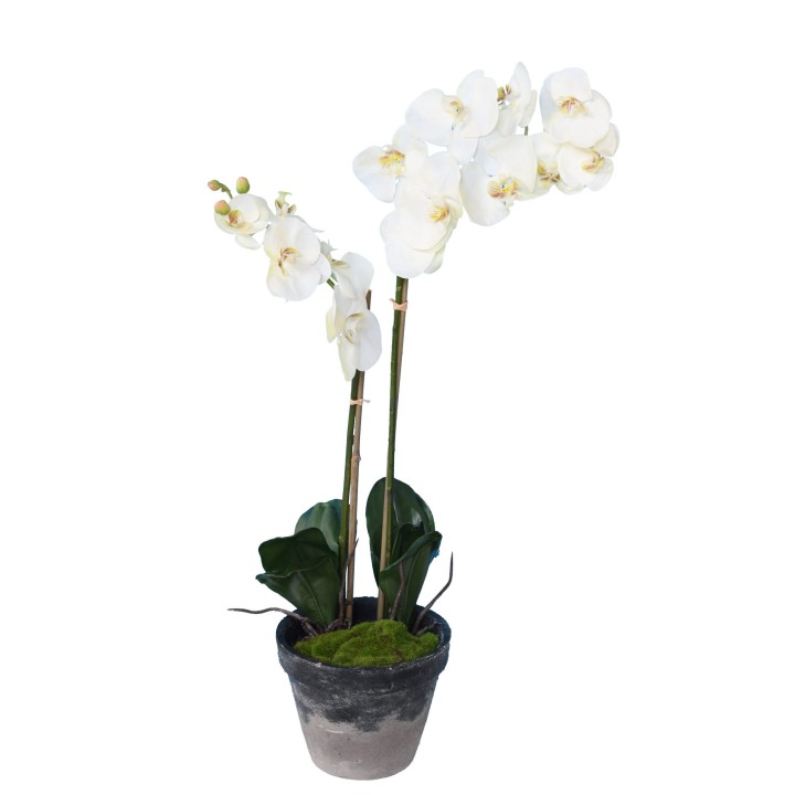 Künstliche Phalaenopsis Orchidee im Topf, 85cm, Weiss