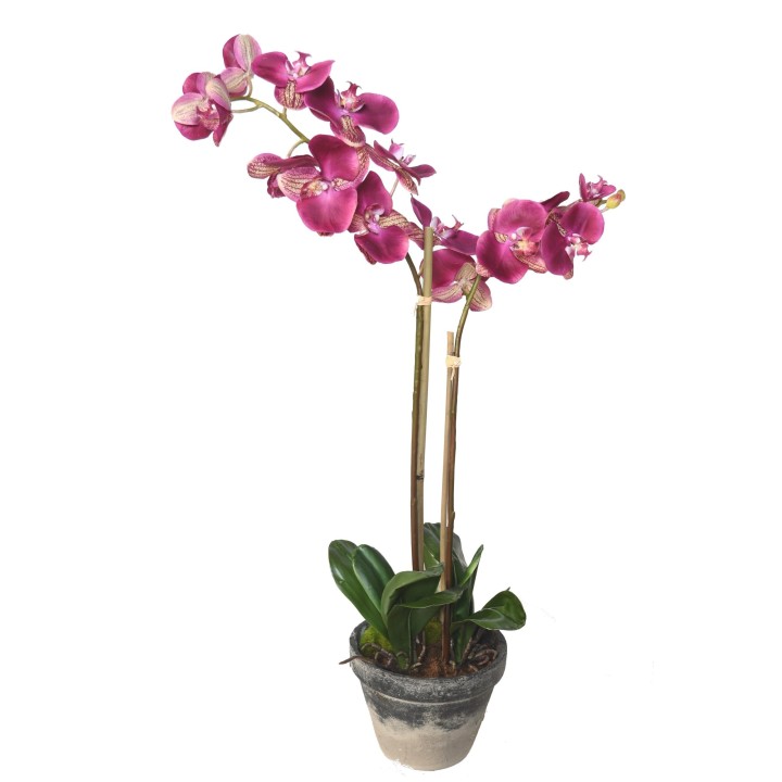Künstliche Phalaenopsis Orchidee Pink - 85 cm