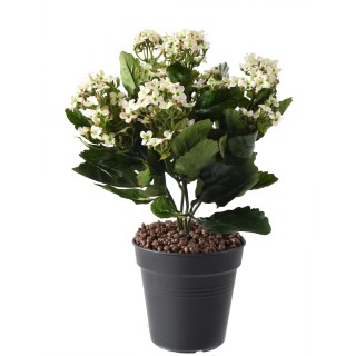 Kunst-Kalanchoe Hellrosa 25cm