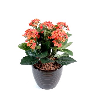 Künstliche Kalanchoe Pflanze, 25 cm, Rosa