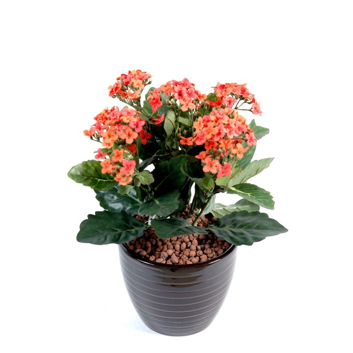 Künstliche Kalanchoe Pflanze, 25 cm, Rosa
