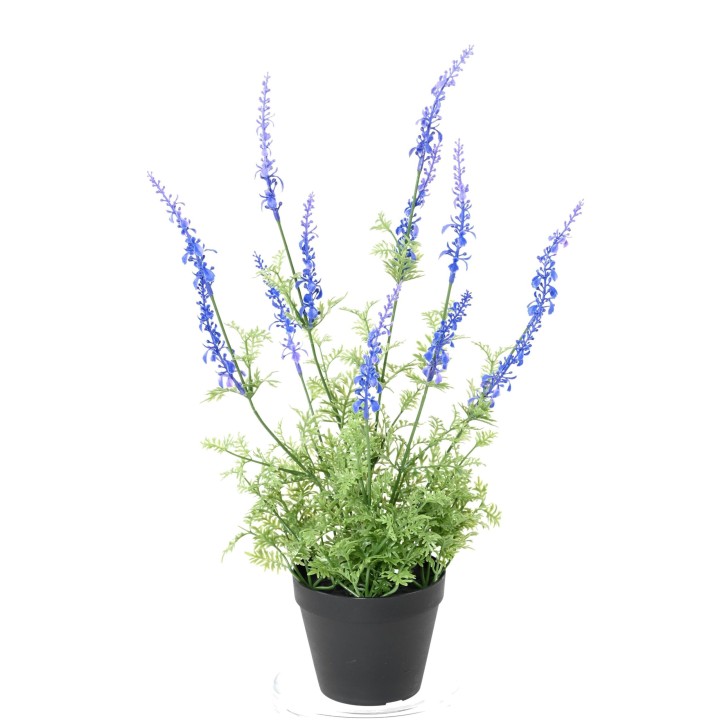 Künstliche Lavendel Dentata Pflanze, UV-stabil, Blau