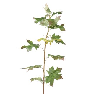 Deko-Ahornzweig – 108 cm Grün