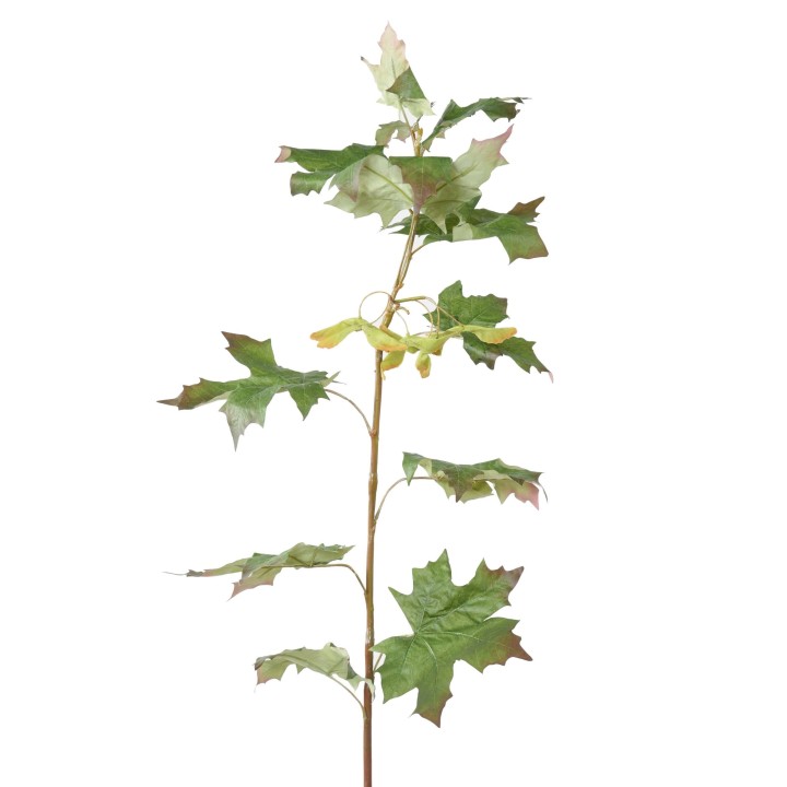 Deko-Ahornzweig – 108 cm Grün