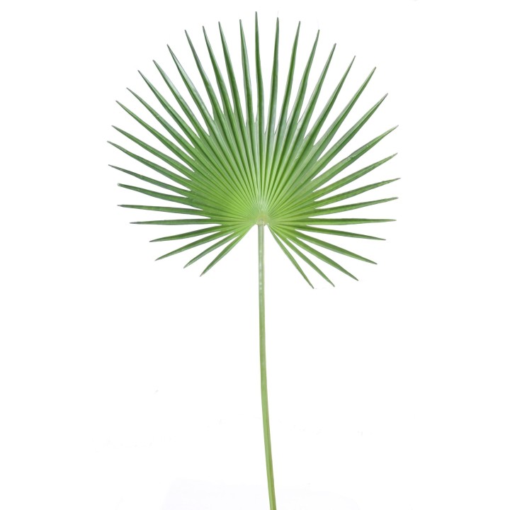 Künstlicher Fächer-Palmzweig 120cm – Grünes Tropenflair