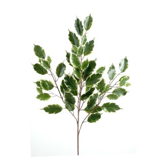 Künstlicher Ficus Zweig 76cm Grün