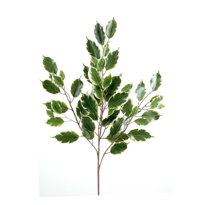 Künstlicher Ficus Zweig 76cm Grün
