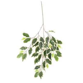 Künstlicher Ficus-Zweig, 60cm, Buntblättrig