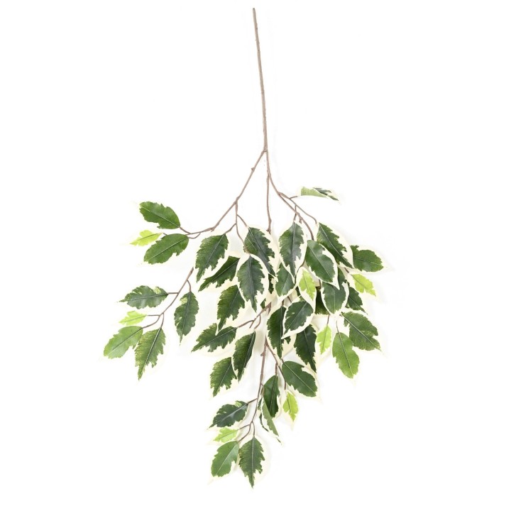Künstlicher Ficus-Zweig, 60cm, Buntblättrig