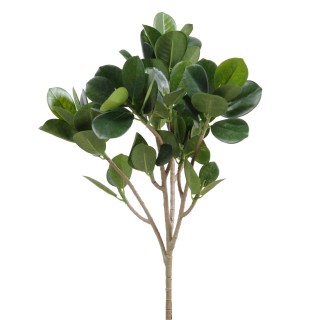 Kunstzweig Microcarpa 40cm - Exotisches Grün für Ihr Zuhause