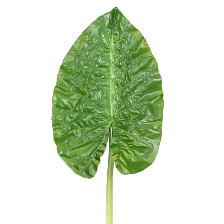 Kunst-Alocasia-Blattzweig 76cm – Exotisches Grün