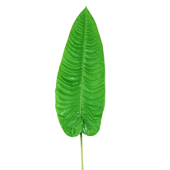 Exotischer Alocasia Kunstzweig, 126 cm, Gruen