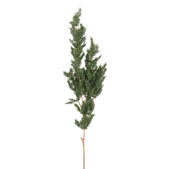 Deko Thuja Zweig Kunstpflanze 120cm Grün