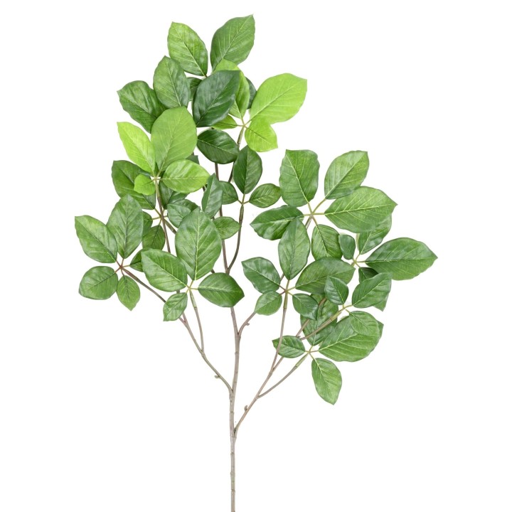 Künstlicher Buchenzweig 65cm, Grün