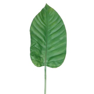 Alocasia Kunst-Blattzweig, 100 cm, Grün