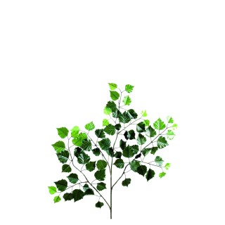 Dekorativer Kunst-Birkenzweig 70cm Grün