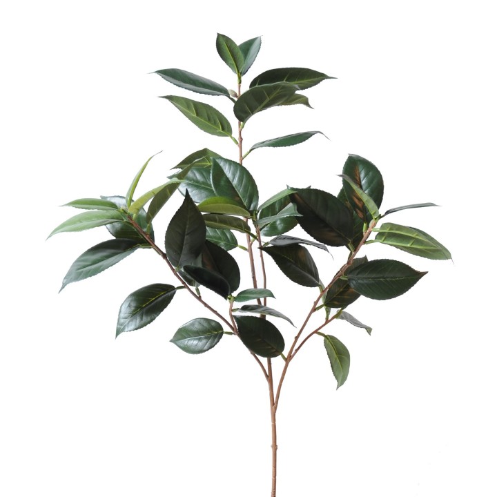 Künstlicher Camellia Japonica Zweig, 70cm, Grün