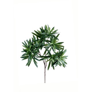 Kuenstlicher Podocarpus-Zweig Gruen 35cm