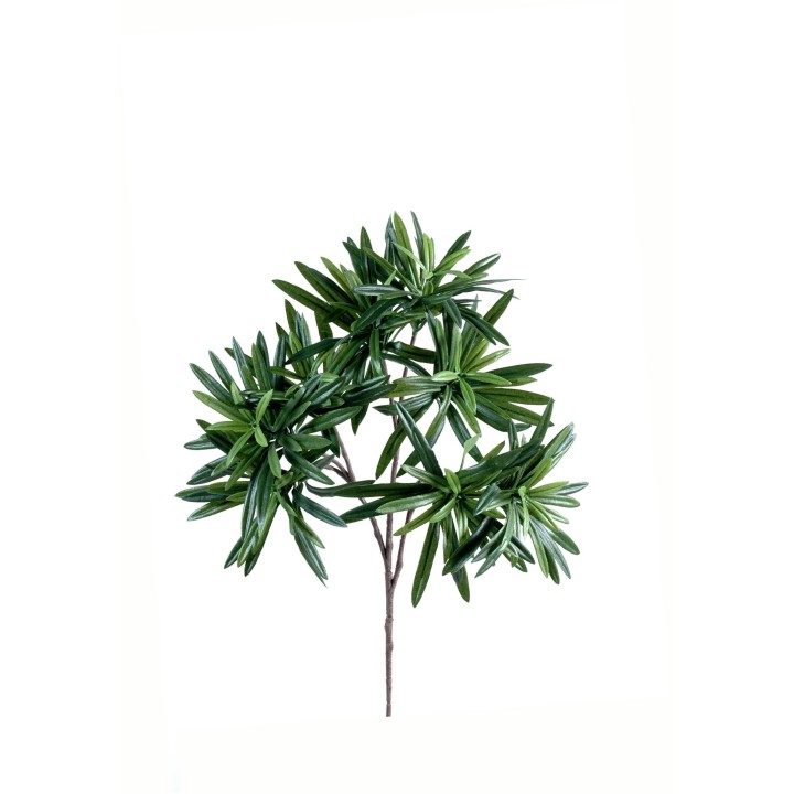 Kuenstlicher Podocarpus-Zweig Gruen 35cm