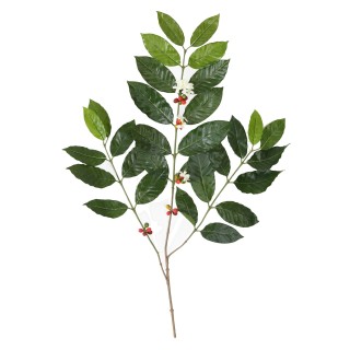 Künstlicher Kaffeebaum-Zweig, 80cm, Grün