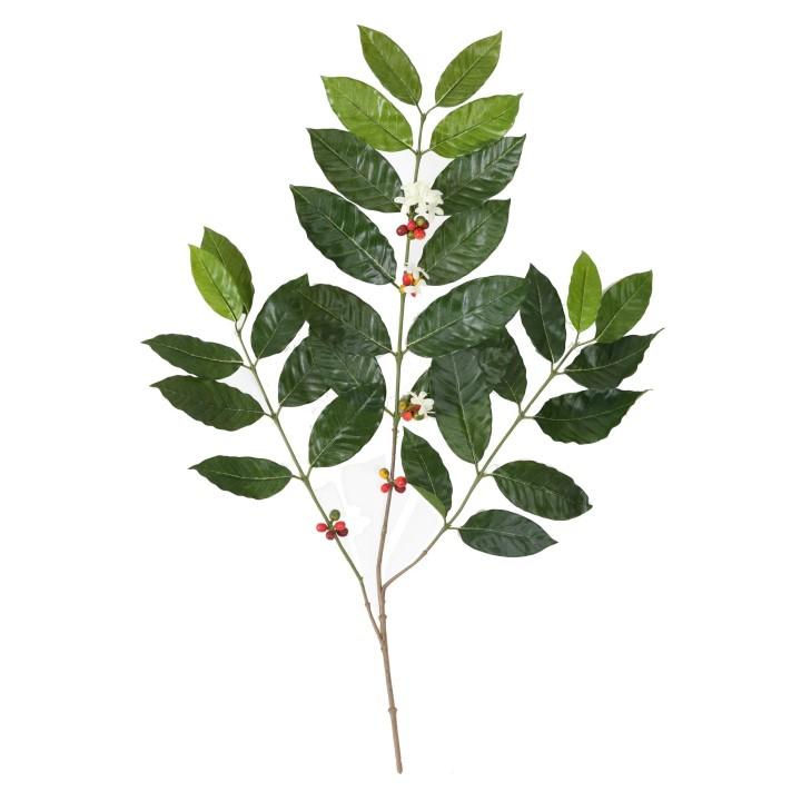 Künstlicher Kaffeebaum-Zweig, 80cm, Grün
