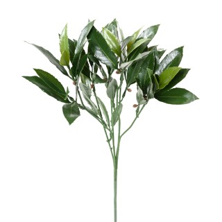 Premium Kunst-Lorbeerzweig, 50 cm, UV-geschützt, naturgrün