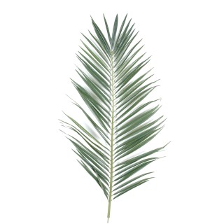 Künstlicher Majesty Palmenwedel 105cm Grün