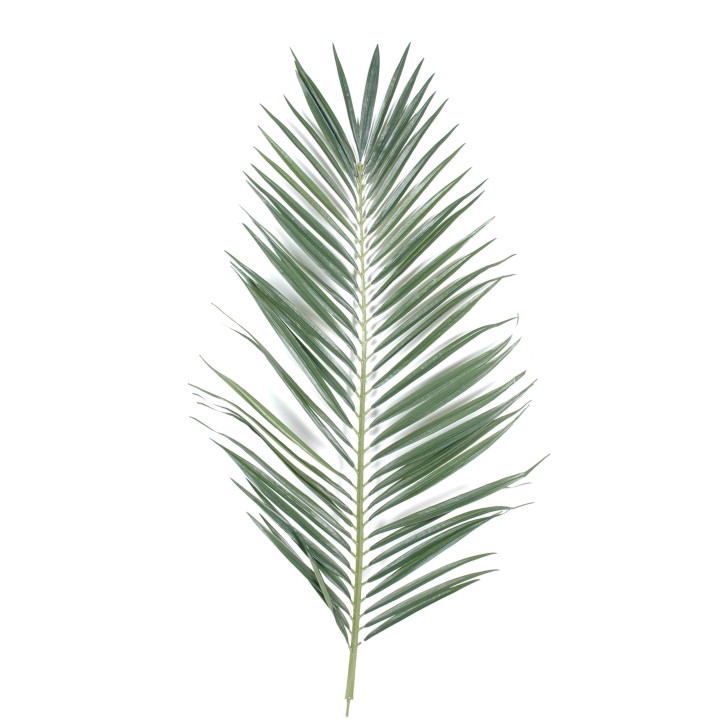 Künstlicher Majesty Palmenwedel 105cm Grün