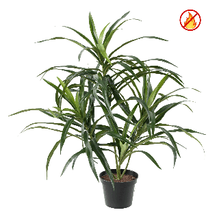 Dracaena Anita Kunstpflanze - 45cm - Brandschutz B1/RF2