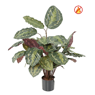 Kunstpflanze Calathea, 70 cm – Brandschutz B1/RF2