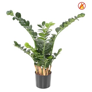 Kunstpflanze Zamia 90 cm - Brandschutz B1/RF2