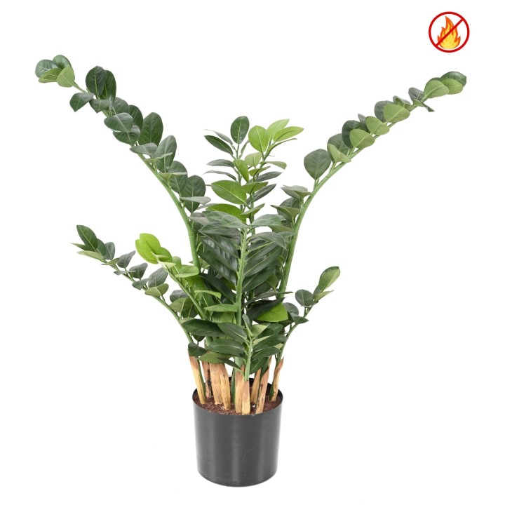 Kunstpflanze Zamia 90 cm - Brandschutz B1/RF2