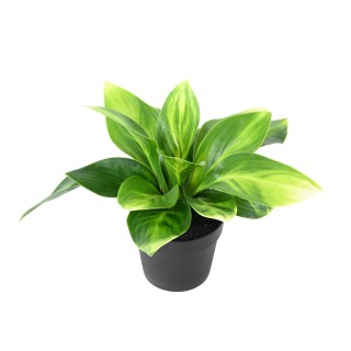 Langlebige Kunst-Hosta 60 cm - UV-Schutz für Garten & Balkon