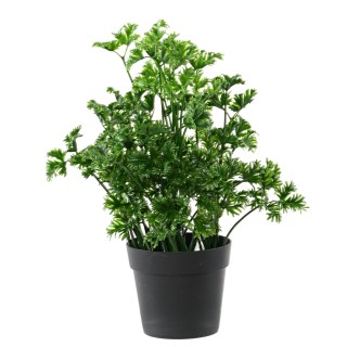 Kunst-Petersilie wetterfest – UV-beständig und pflegeleicht für Aussenbereiche