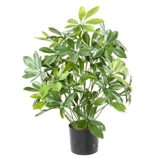 UV-beständige Schefflera Kunstpflanze, 50 cm, grün