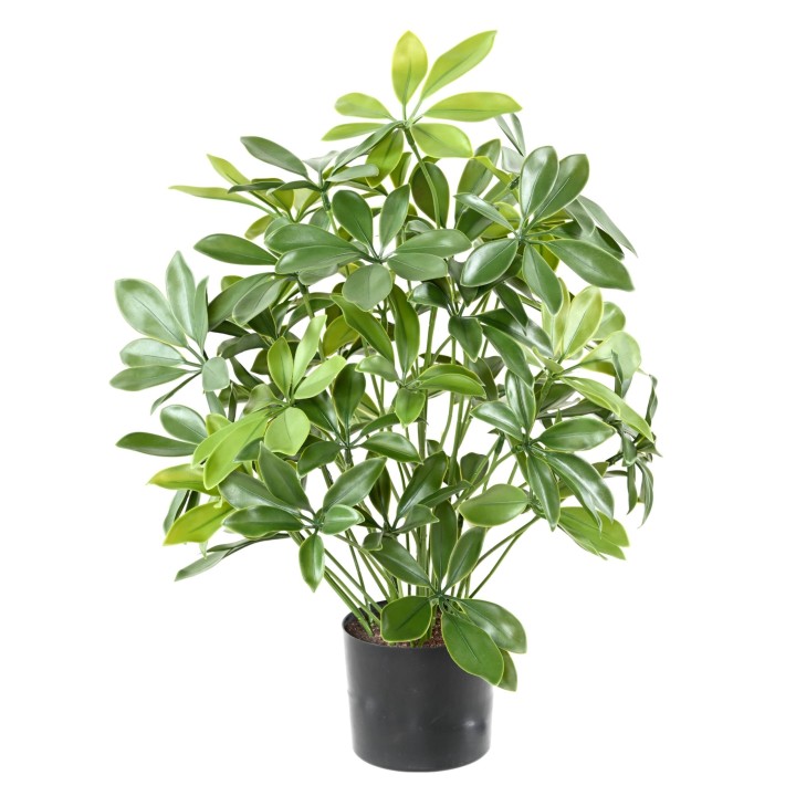 UV-beständige Schefflera Kunstpflanze, 50 cm, grün