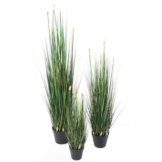 Künstlicher Presle - Elegante Kunstpflanze für Innenräume