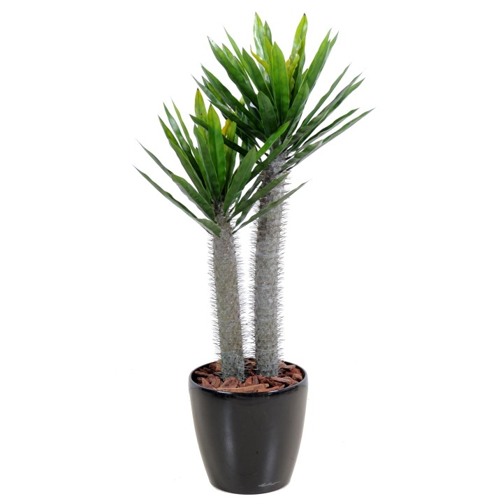 Künstlicher Pachypodium 100cm - Täuschend Echt und Wartungsfrei