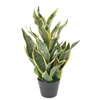 Künstliche Sansevieria Masoniana, 66 cm – Grün und Pflegeleicht