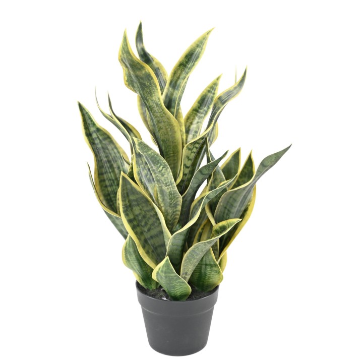 Künstliche Sansevieria Masoniana, 66 cm – Grün und Pflegeleicht