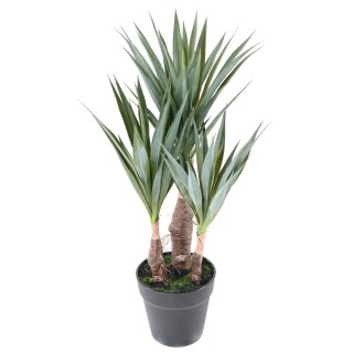 Künstliche Agave 55 cm - Realistische Kunstpflanze für Innenbereiche