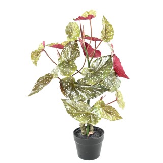 Kunst-Begonie - Lebensechte Dekoration ohne Pflegeaufwand