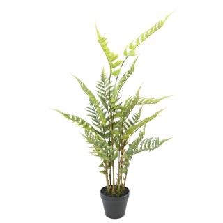 Lebensechter Wald-Farn, 80cm Hoch, Grün - Absolut Pflegeleicht