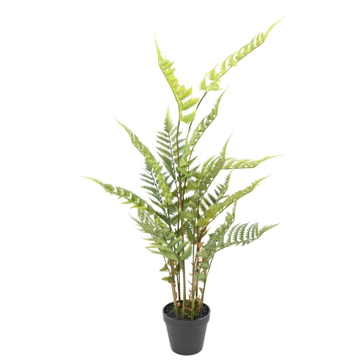 Lebensechter Wald-Farn, 80cm Hoch, Grün - Absolut Pflegeleicht