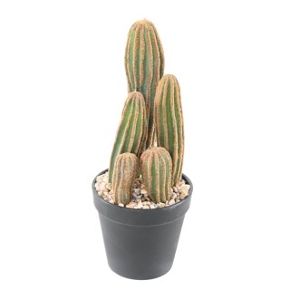 Künstlicher Fingerkaktus Opuntia 28cm – Täuschend echt und pflegeleicht